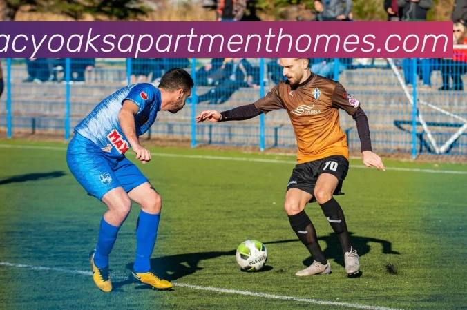 mksport体育官网入口全站App